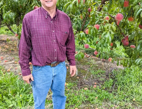 Meet the Grower: Blue Cherry Farms